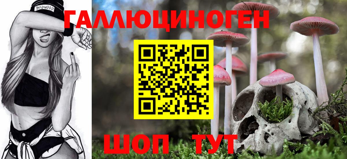 Каменка  Псилоцибиновые грибы MAGIC MUSHROOMS  Вход с VPN 